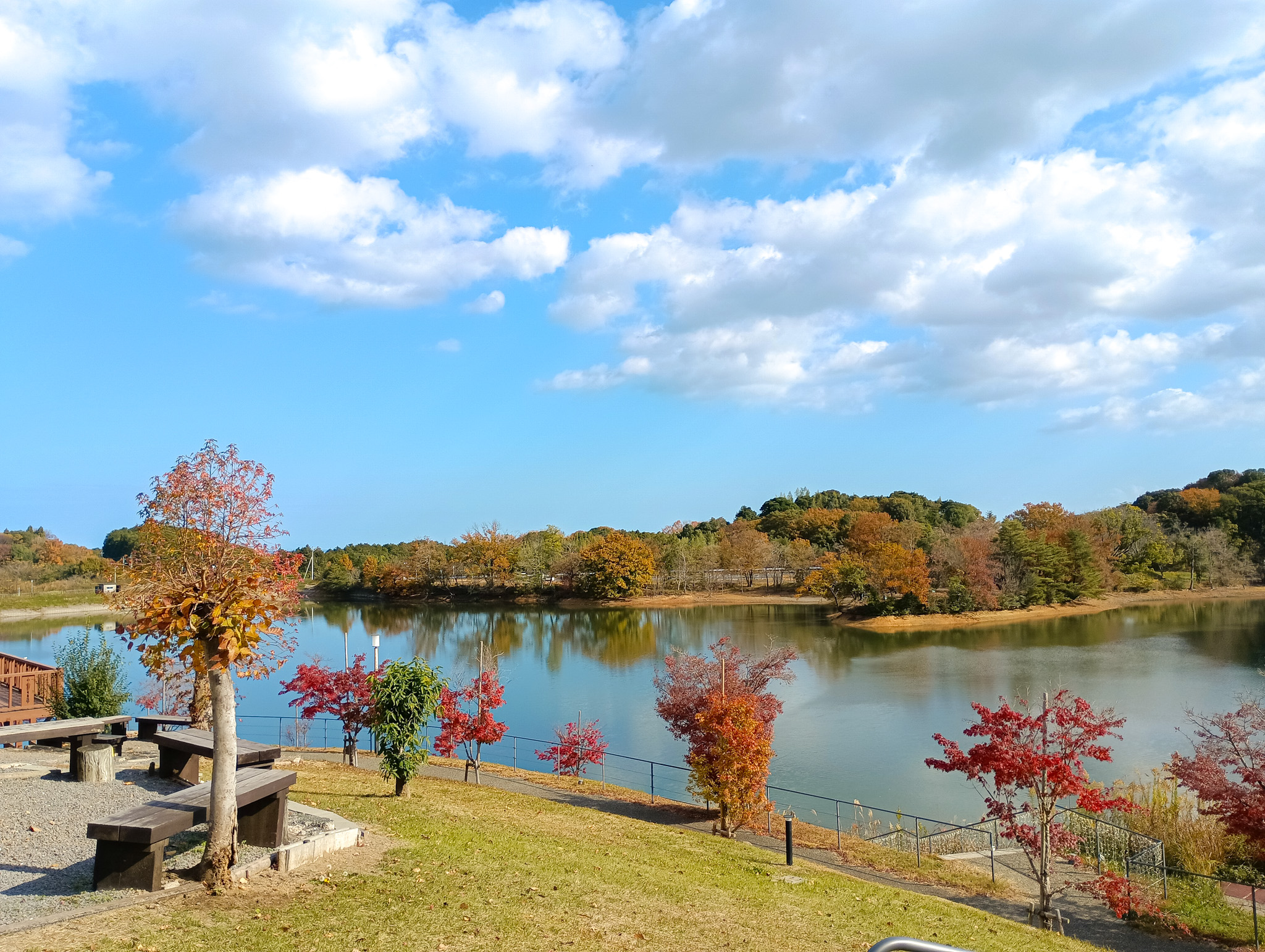 大池公園内の自然
